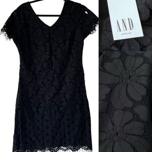 NWT AND India Lace Sheath Dress Whimsygoth Short Sleeve in Black size 12